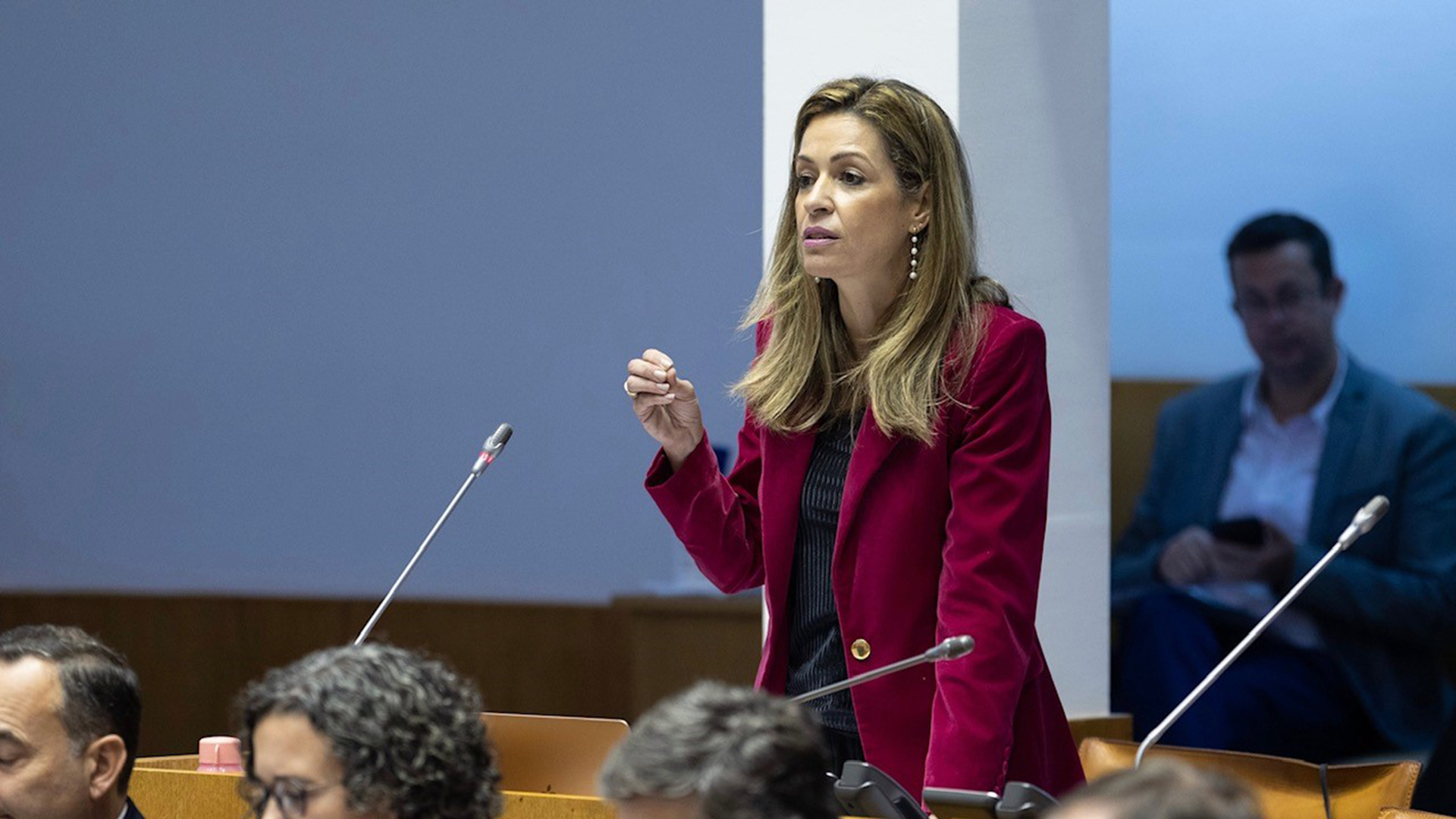 Maria João Carreiro reafirma investimento em “política robusta” de emprego para “melhorar situação laboral dos açorianos”